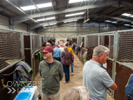 DS091023-59 - Dan Skelton stable visit